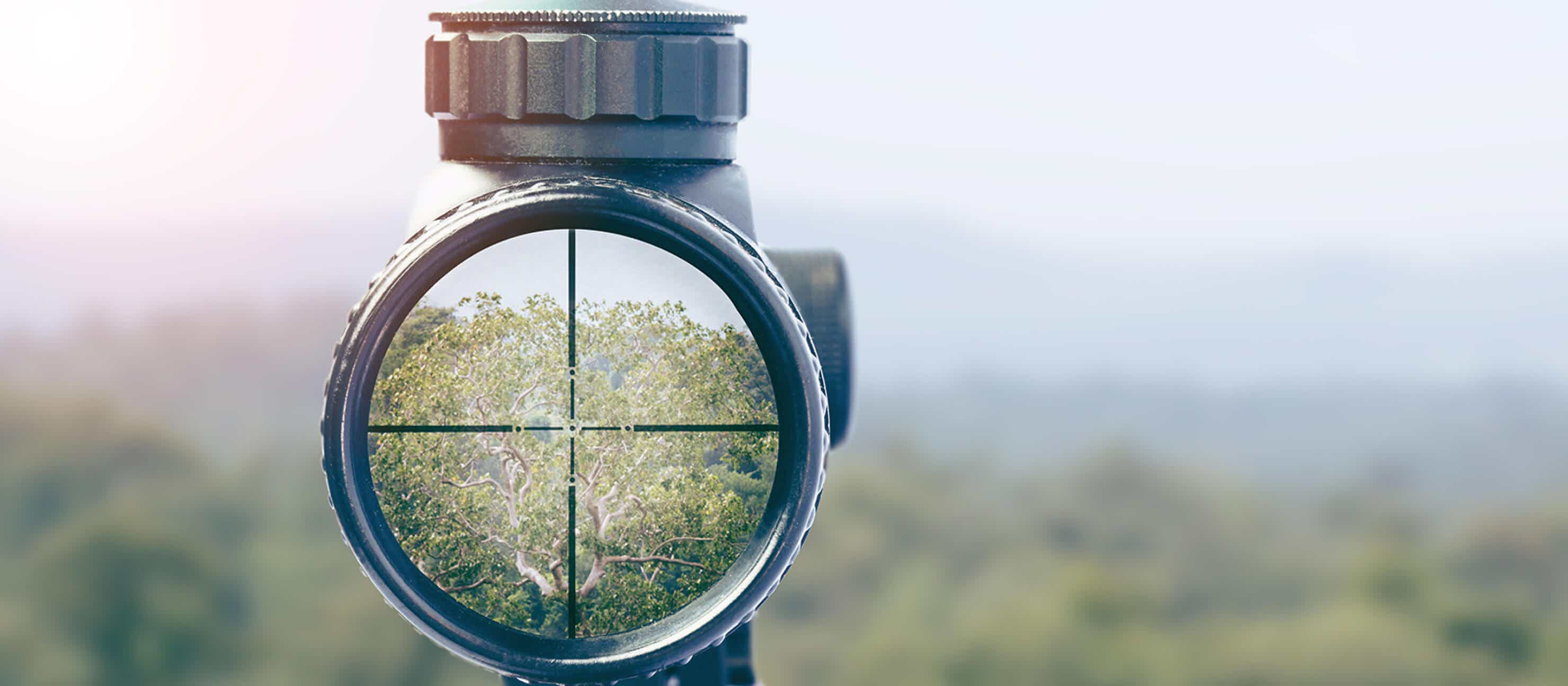 Rifle targeting a natural landscape with forests and mountains in the background