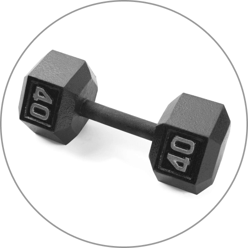 Free Weights + Barbells