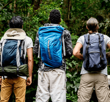 Academy hiking backpacks cheap