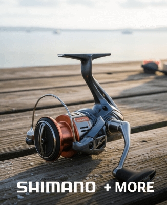 Close-up of a Shimano Nasci fishing reel resting on a wooden dock, photographed in natural outdoor light.