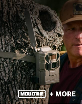 Trail camera mounted to a tree with person in hunting apparel nearby. Moultrie logo and “+ More” appear at the bottom of the image.