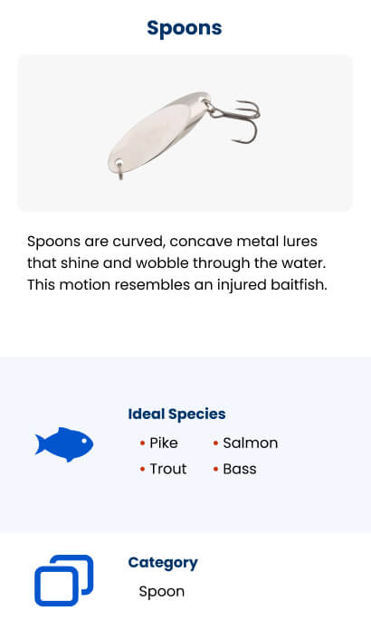 15 Types of Fishing Lures for Your Next Freshwater Trip