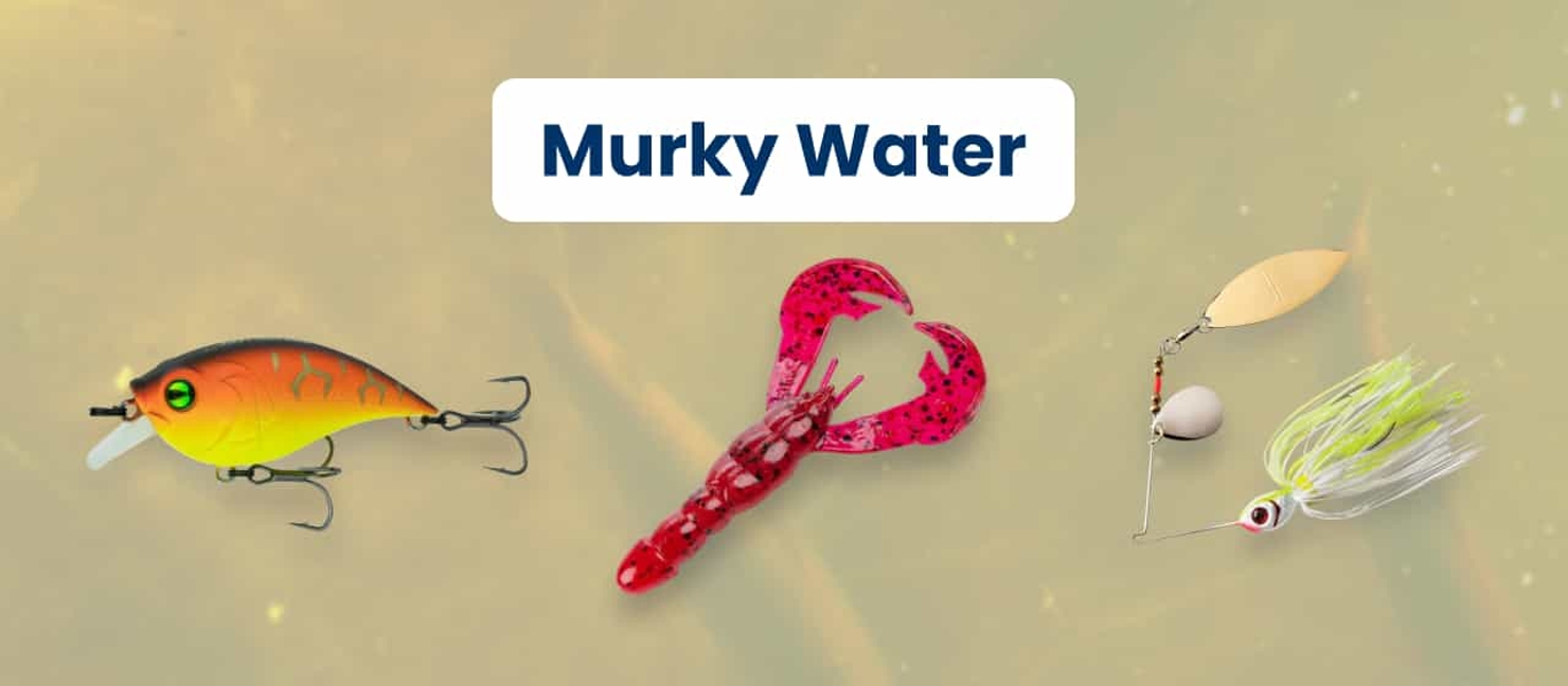 Best Bass Lures & Baits To Catch Hawgs in Every Season Academy