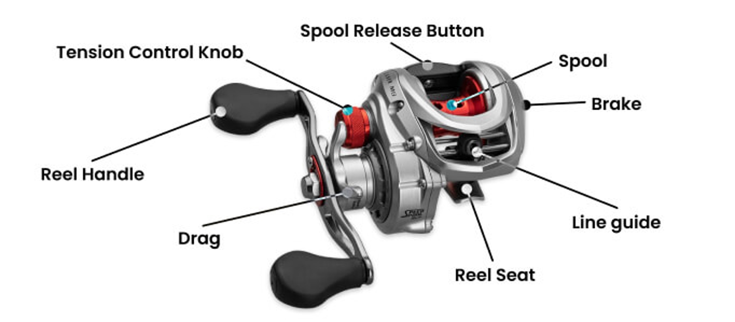 5 Types of Fishing Reels to Catch More Fish | Academy