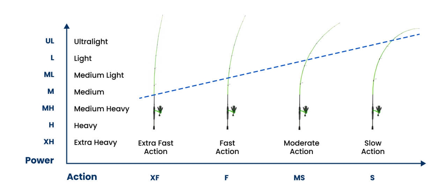 8 Best Types of Fishing Rods Every Angler Should Know Academy