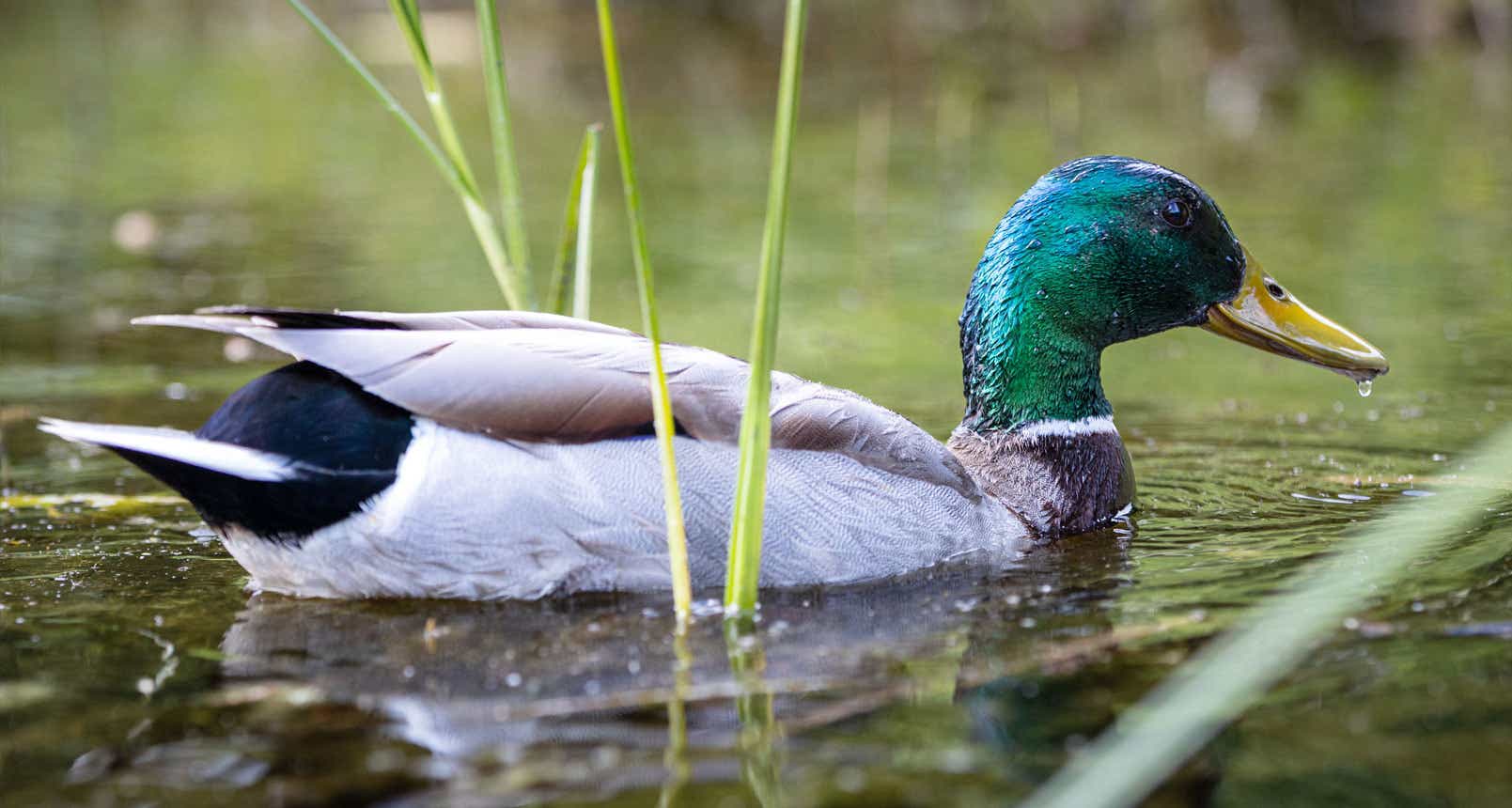 Hunting essential gear and equipment being tested outdoors