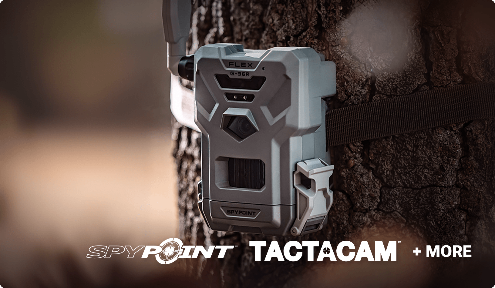 SPYPOINT trail camera secured to a tree for wildlife and game monitoring.
