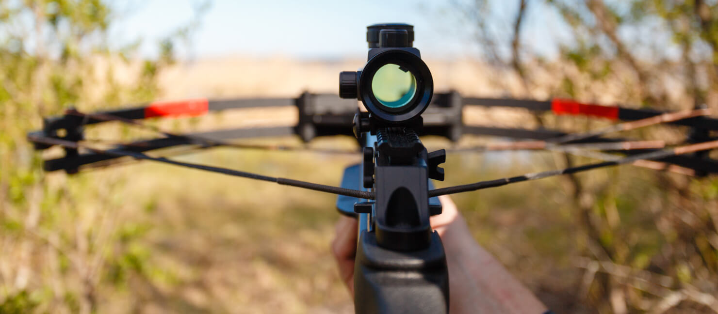 How to Set Up a Bow Fishing Bow for Success Academy