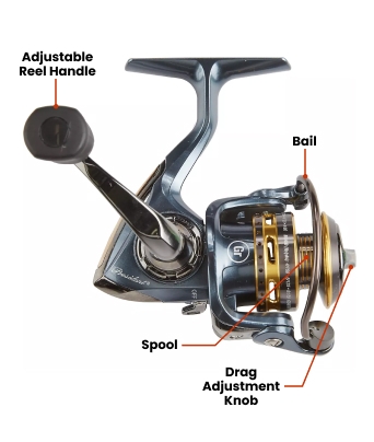 Baitcaster Vs Spinning Reels: Differences, Pros, & Cons | Academy