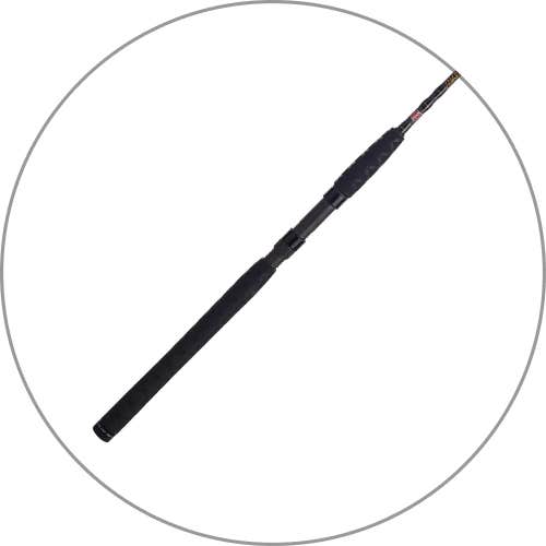 Saltwater Fishing Rods