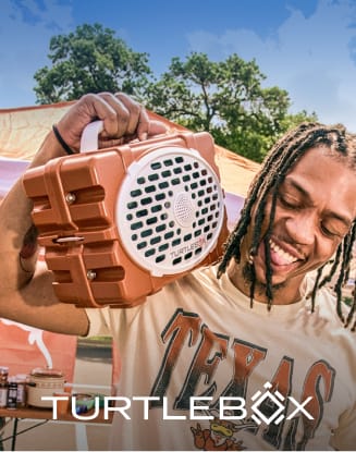 Portable Turtlebox speaker displayed outdoors in team colors.