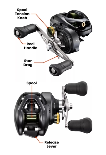 Baitcaster Vs Spinning Reels: Differences, Pros, & Cons | Academy