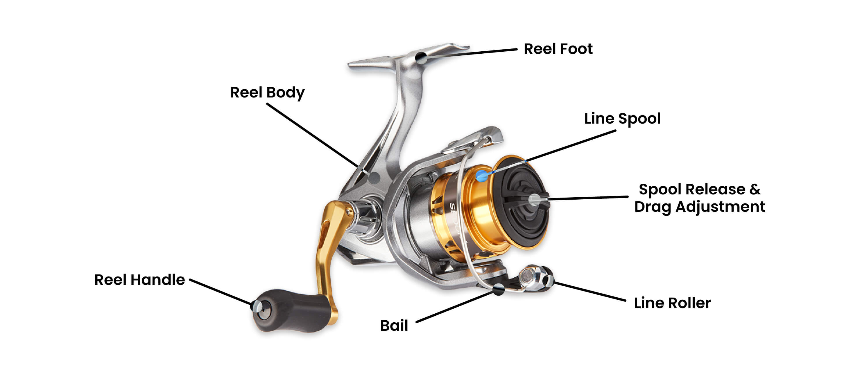 5 Types of Fishing Reels to Catch More Fish | Academy