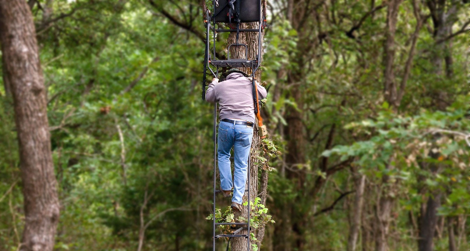 Types of Hunting Tree Stands A Buyers Guide Academy