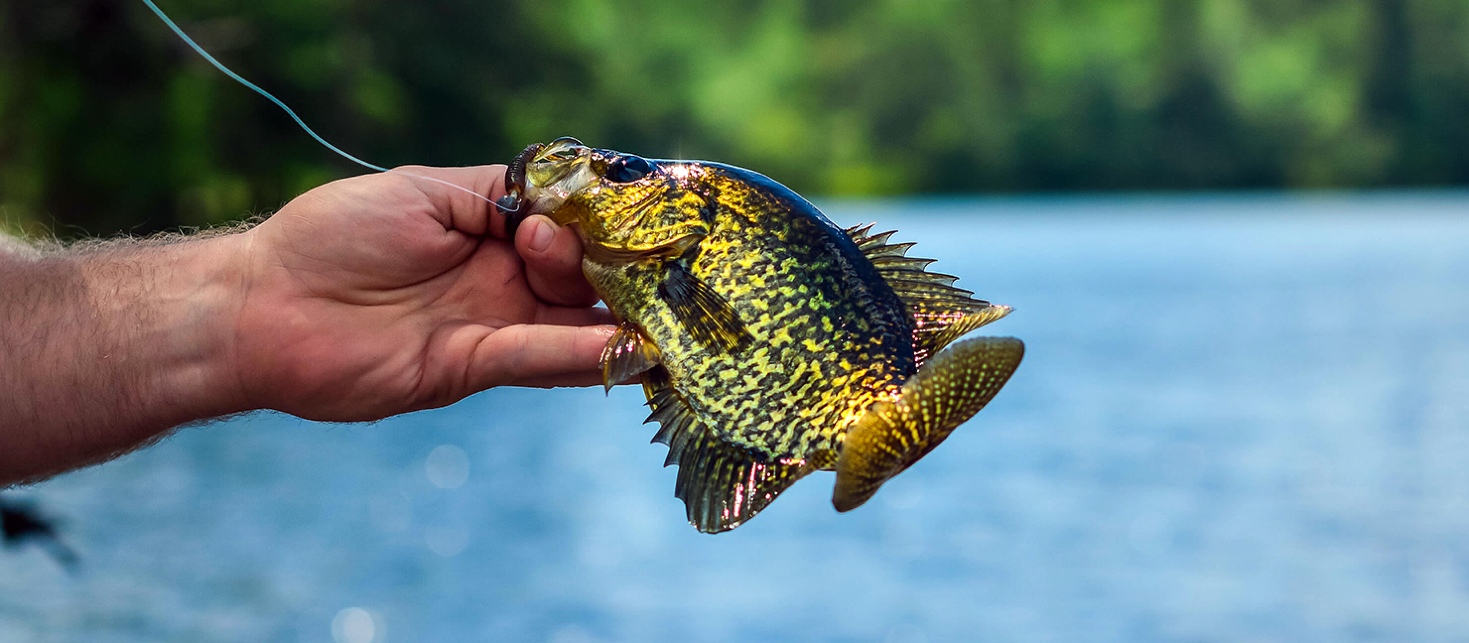 5 Ways to Rig Bobby Garland Itty Bit Baits for Crappie