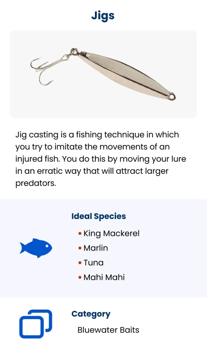 Types of Saltwater Baits – FishVerify