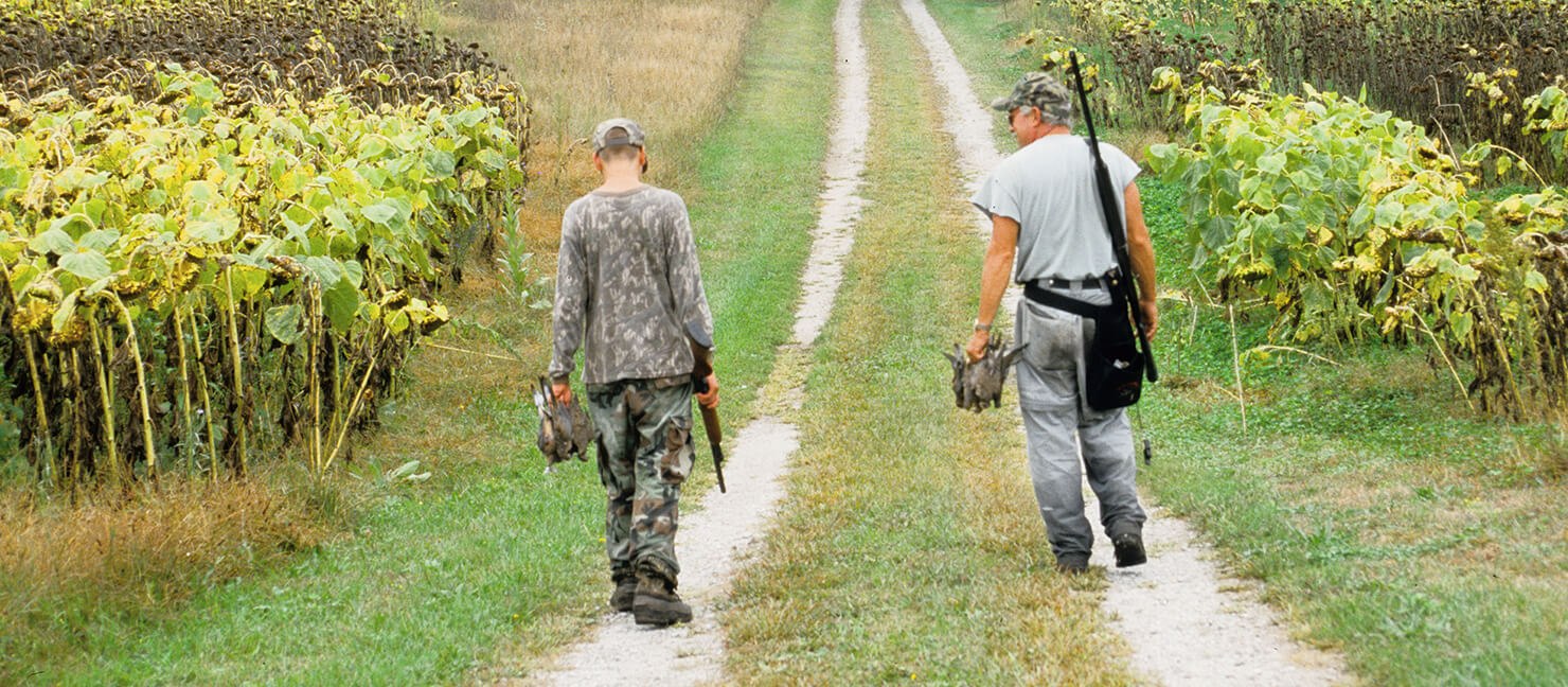dove-hunting-tips-how-to-find-attract-shoot-doves-academy