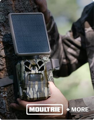 Moultrie trail cameras mounted on a tree in a wooded setting
