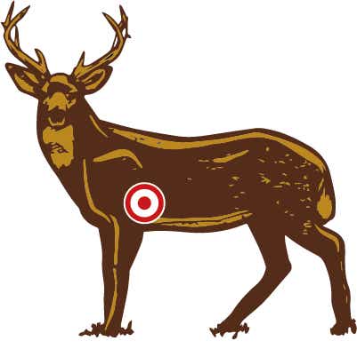 illustration of a deer with instructions on where to place your shot when targeting a deer