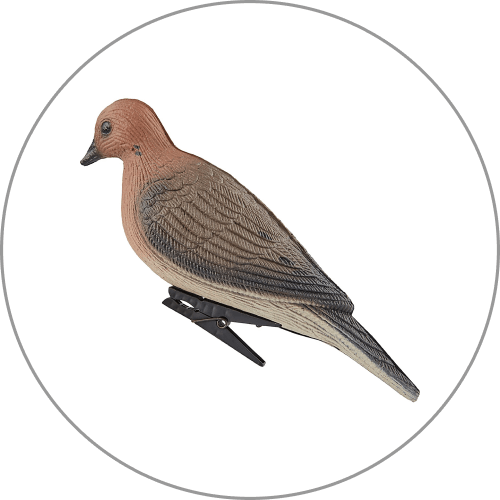 Decoys + Accessories