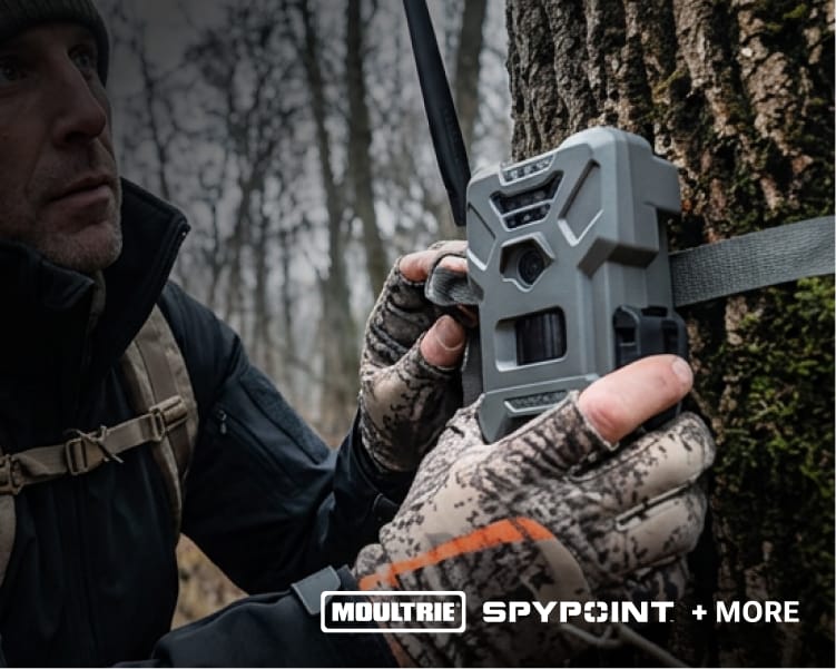 Camouflage-gloved hands securing a Moultrie game camera to a tree.