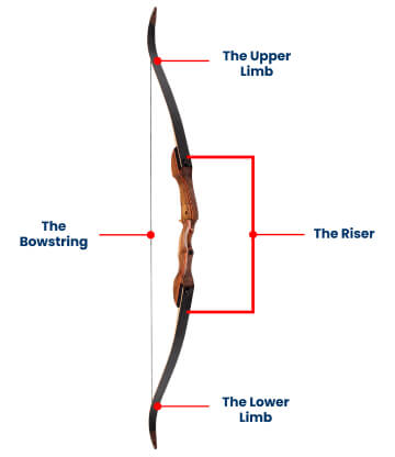 Types of Bows: Recurve vs Compound vs Longbow vs Crossbow | Academy