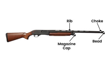 Parts of a Shotgun: A Complete Guide to How It Works | Academy