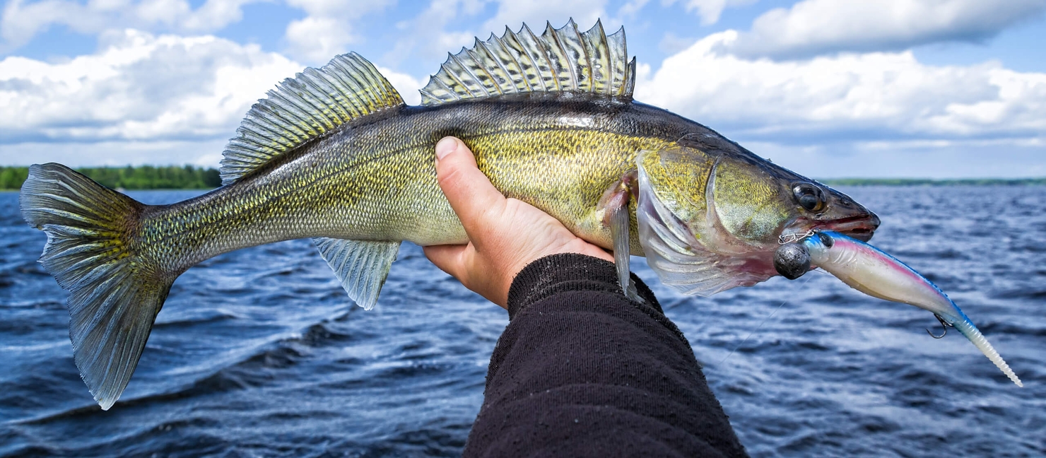 Best Walleye Lures & Baits To Catch More Year-Round | Academy