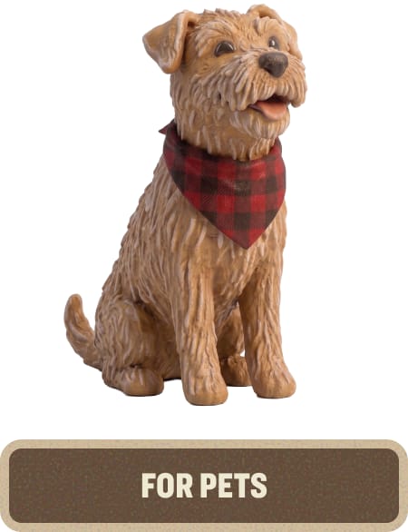 Brown dog wearing a red plaid bandana, seated on a white background. Text below reads “For Pets.”