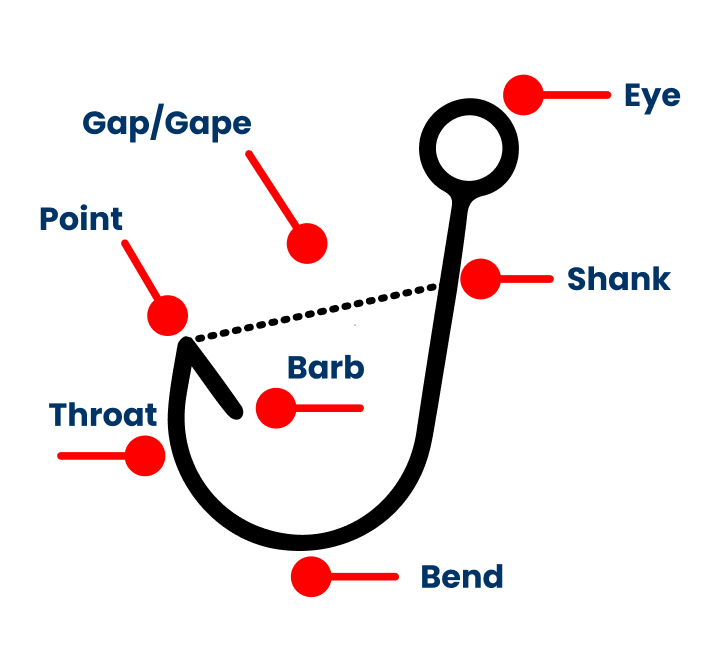 Fishing Hook Size Chart Academy