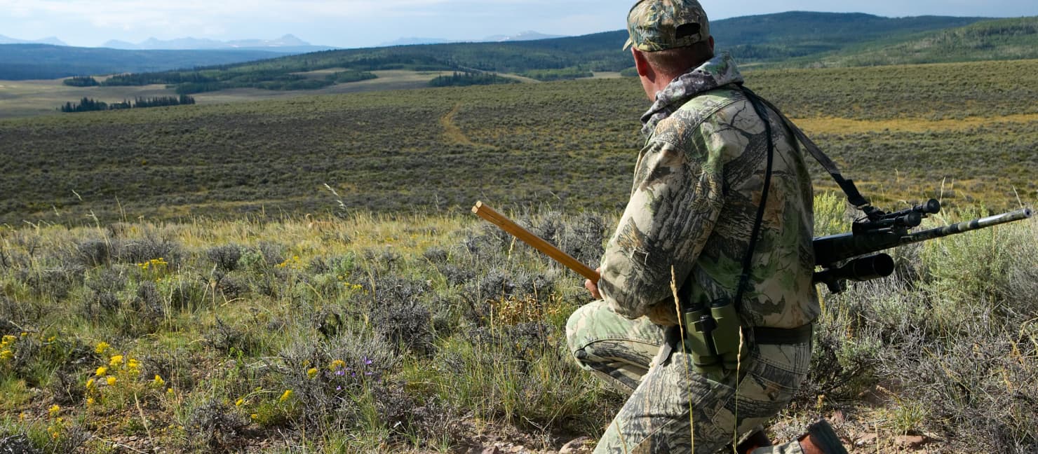 Coyote Hunting Tips: How to Hunt Coyotes | Academy