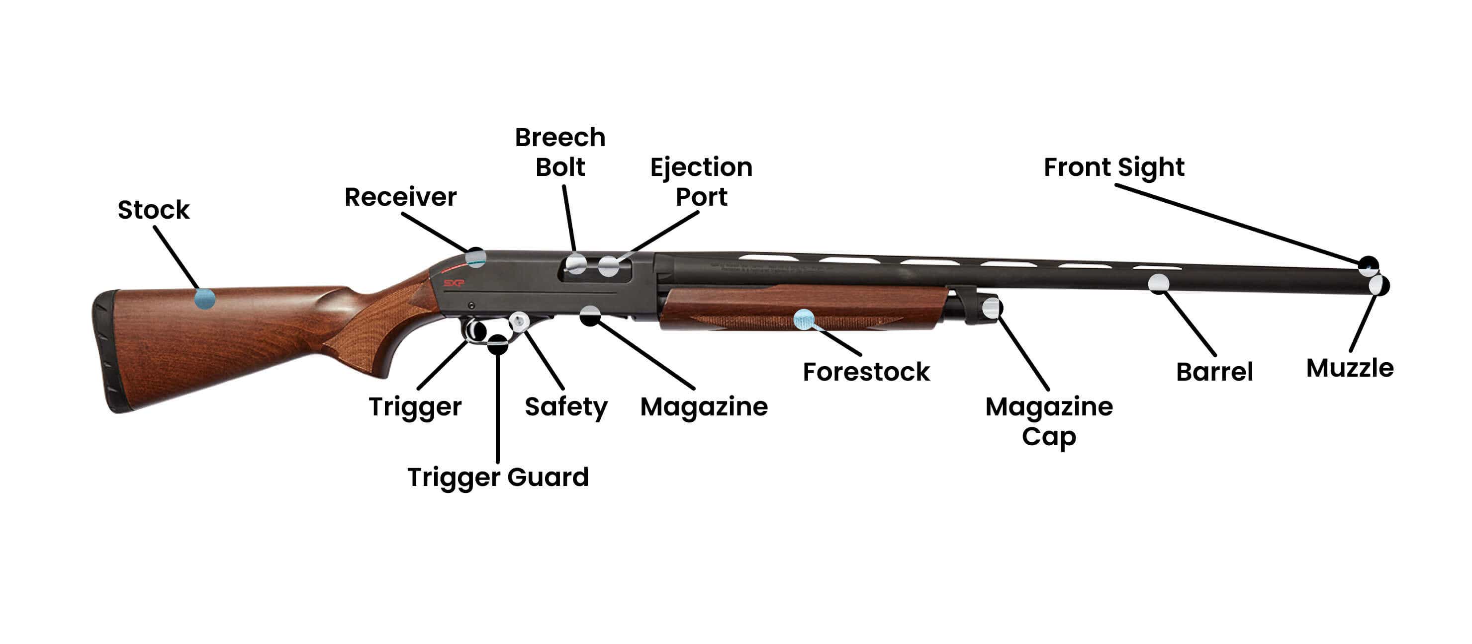 Anatomy of a shotgun