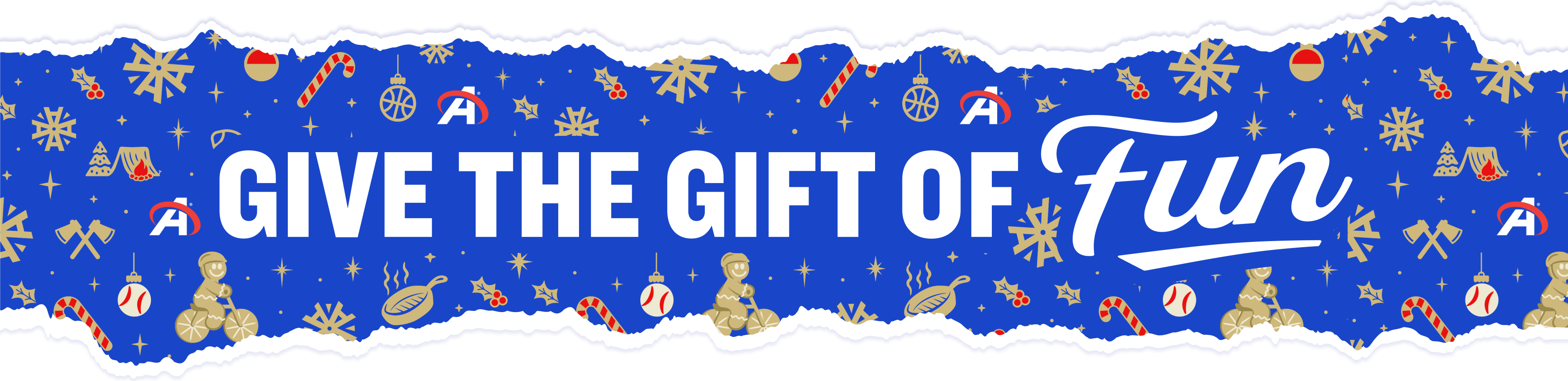 Give the Gift of Fun
