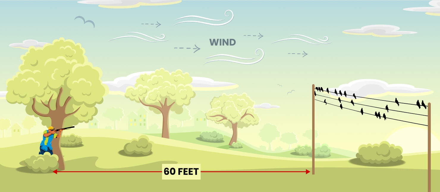 Dove Hunting Tips How to Find, Attract, & Shoot Doves Academy