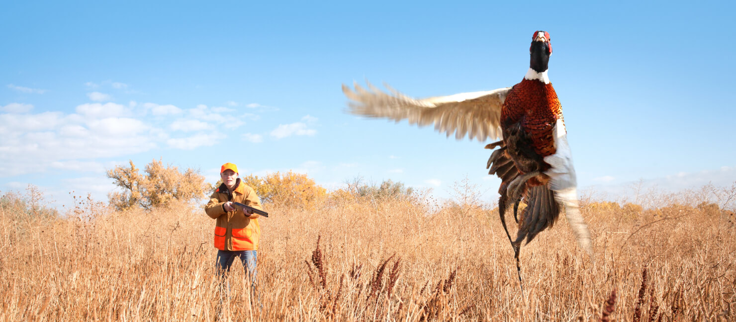 12-gauge-vs-20-gauge-recoil-power-uses-more-academy