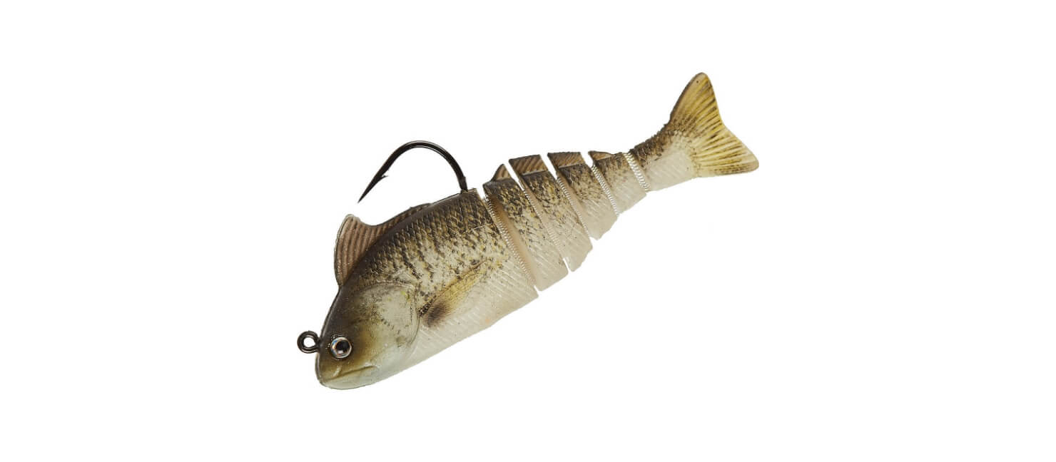 Top 10 Saltwater Baits Academy