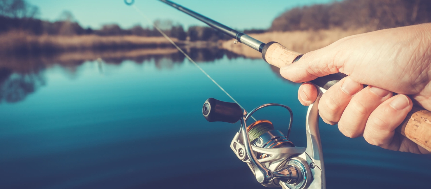 Parts of a Fishing Rod: Anatomy & Components Guide | Academy