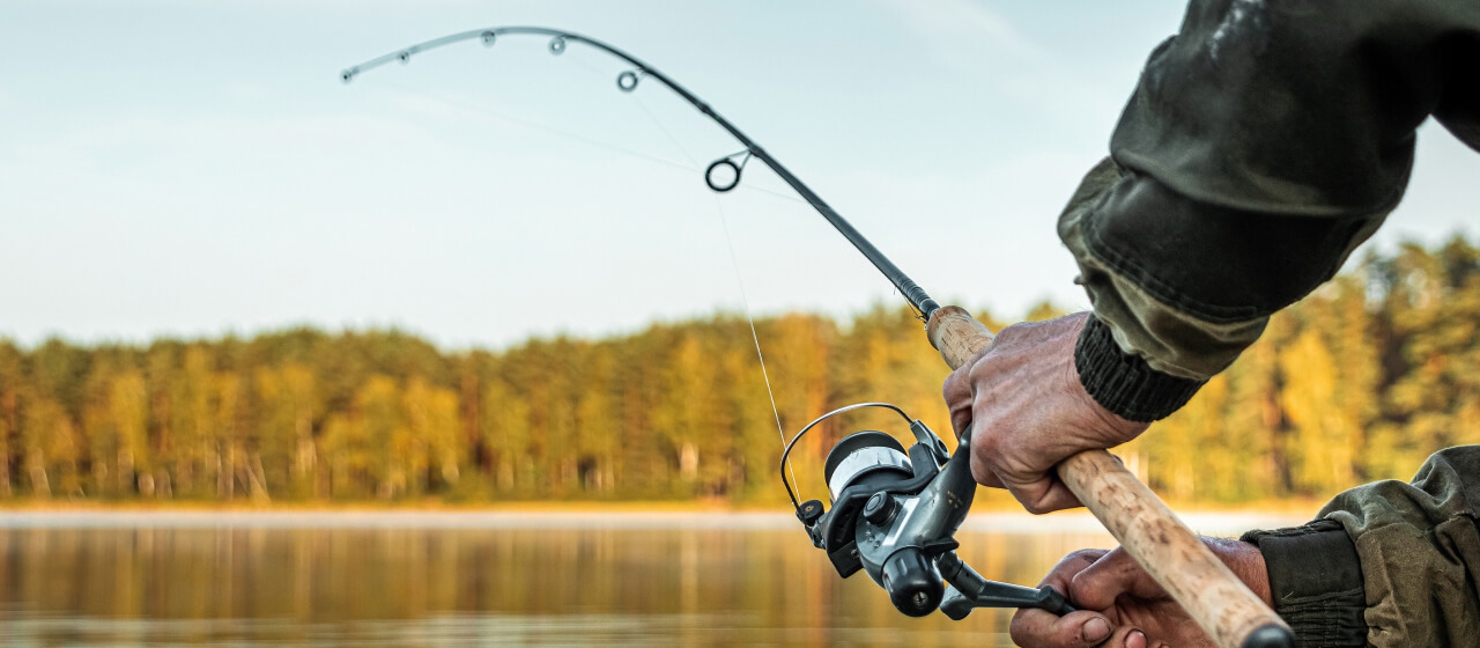 8 Best Types of Fishing Rods Every Angler Should Know Academy