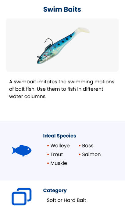 bass fishing lure types