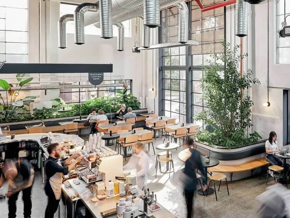 The Alternative Dairy Co: Supporting Cafe Communities