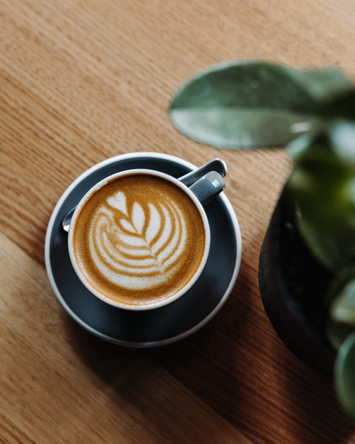 https://images.contentstack.io/v3/assets/blt9777ffe07a3470fa/blt0a7c1205cfba4553/67cfb125a4b93f51d409a258/Villino_Selects-55-1229x1536.jpg
