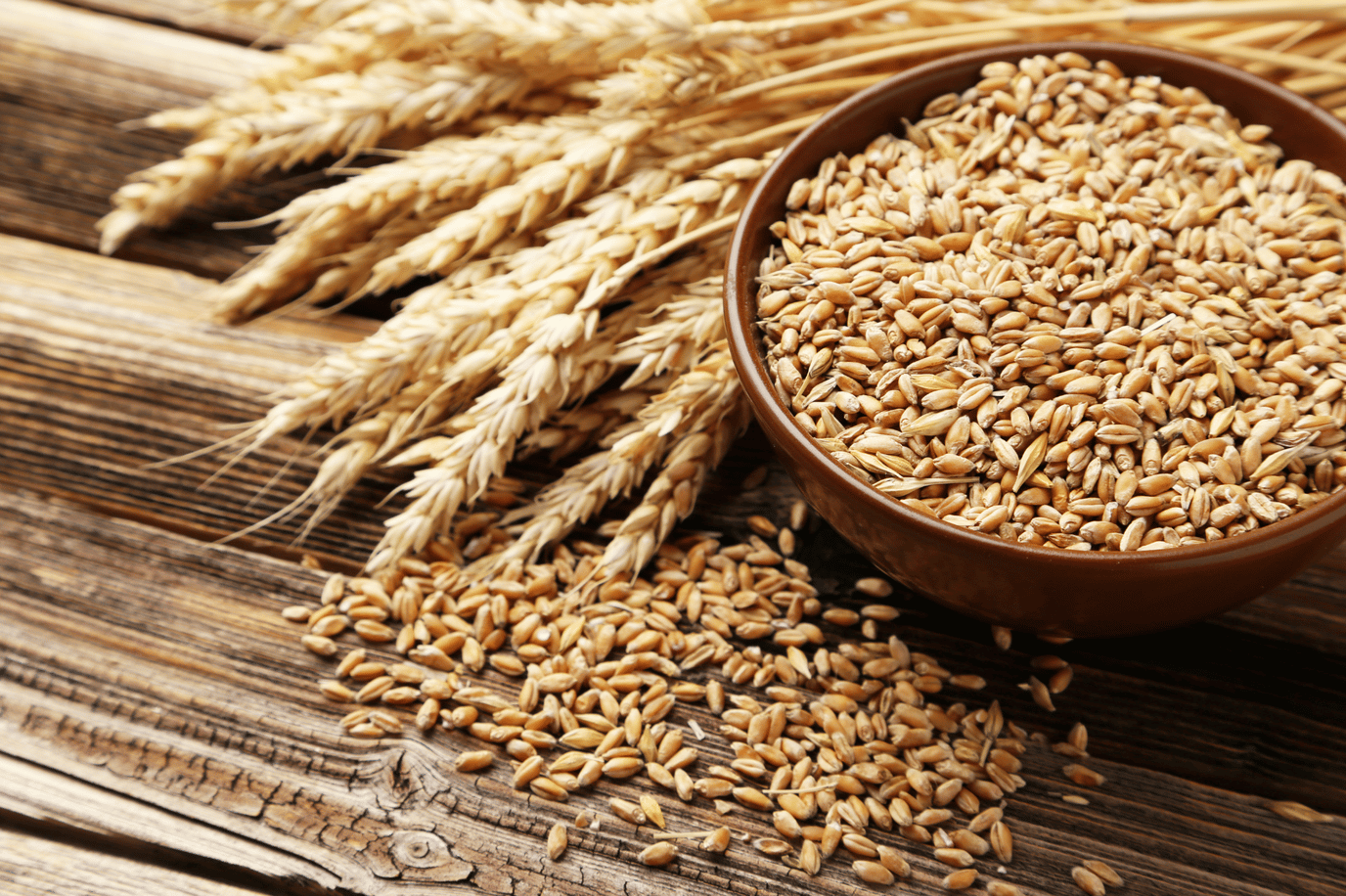 The whole grain and nothing but the grain!