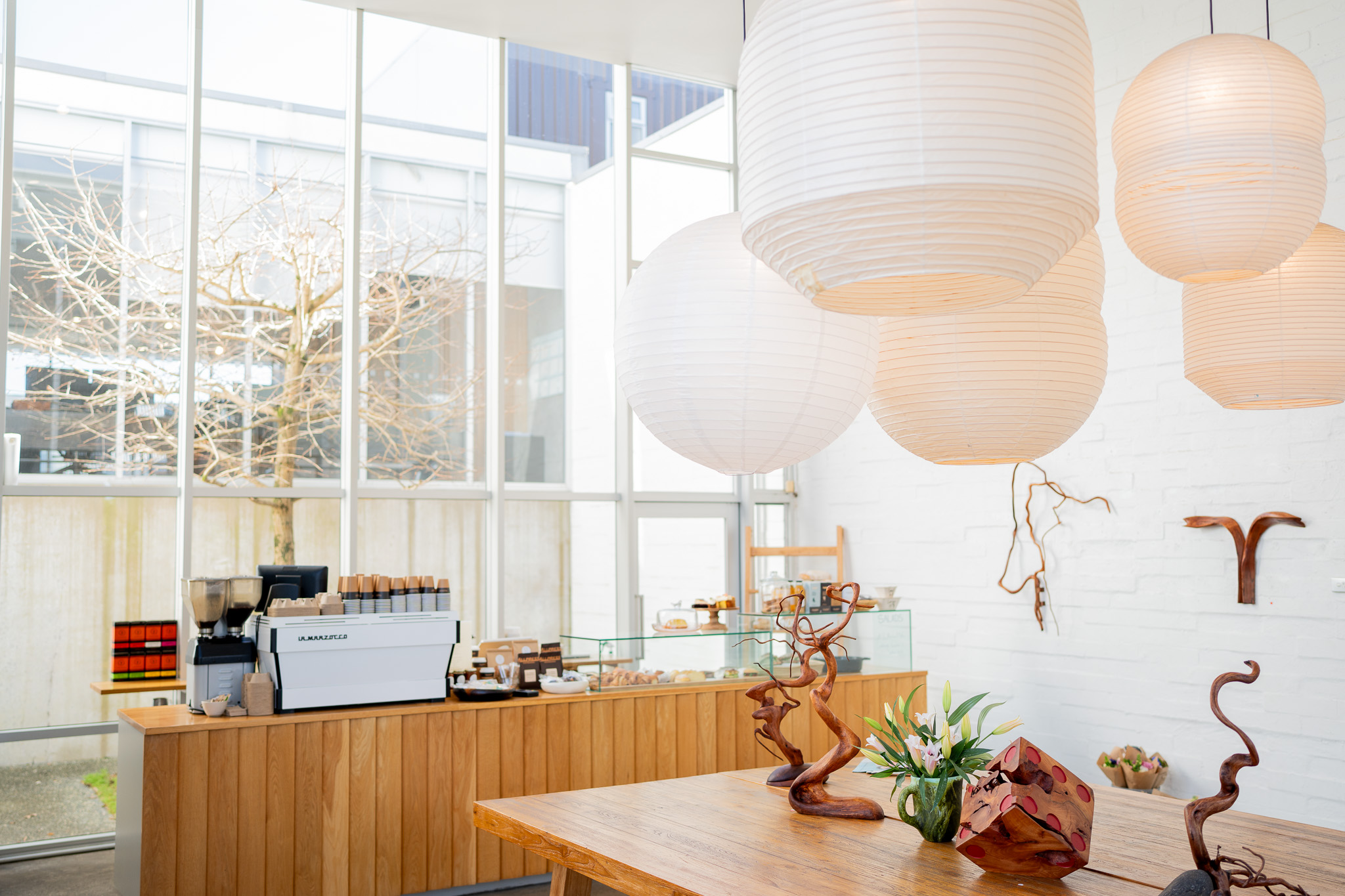 DSC02481.jpg DSC02481.jpg