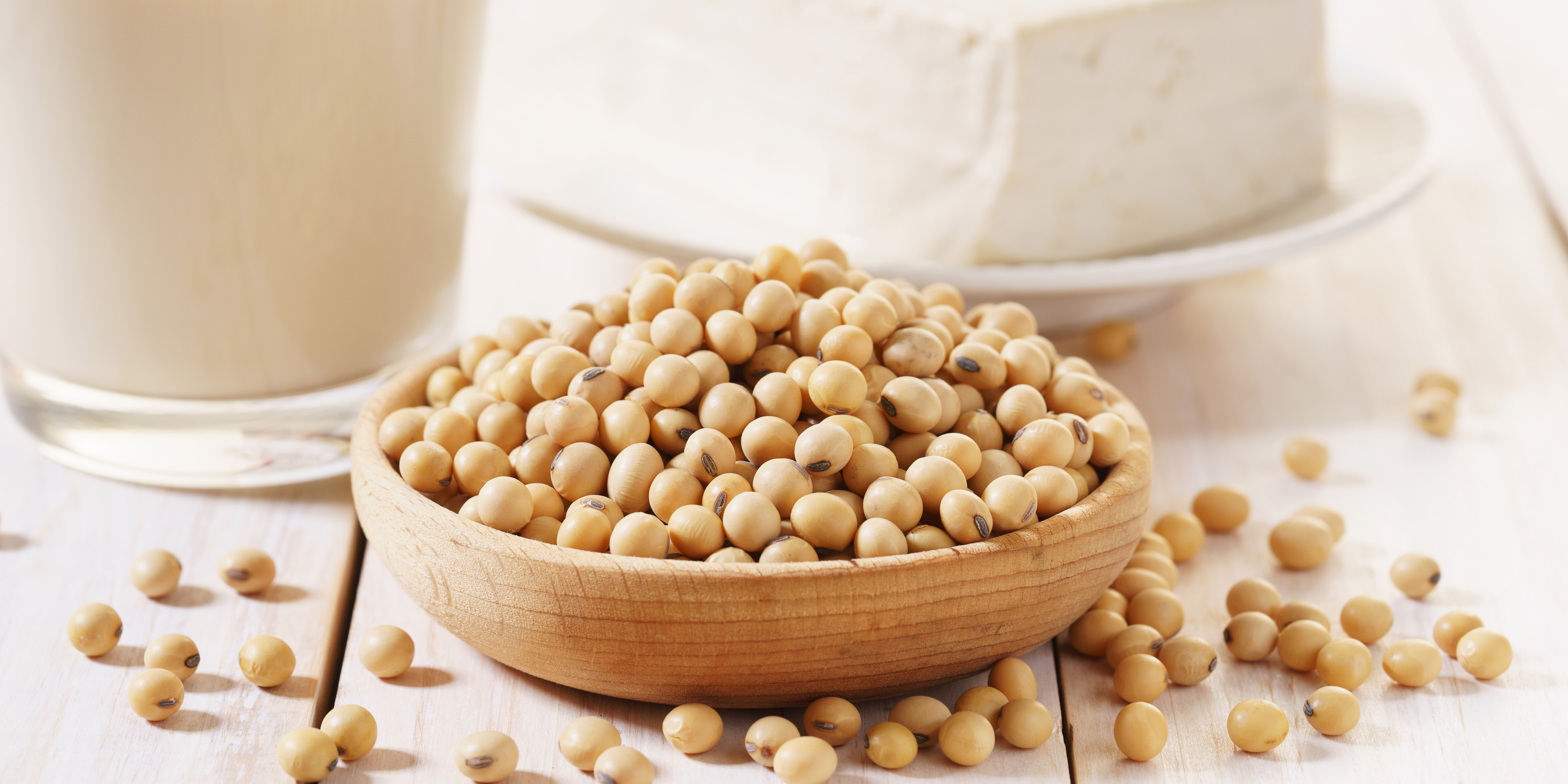 https://images.contentstack.io/v3/assets/blt9777ffe07a3470fa/blt25ed07d048173e46/67387712a35d08810dd83f89/soy-beans-soya-beans-legumes_crop.jpg https://images.contentstack.io/v3/assets/blt9777ffe07a3470fa/blt25ed07d048173e46/67387712a35d08810dd83f89/soy-beans-soya-beans-legumes_crop.jpg