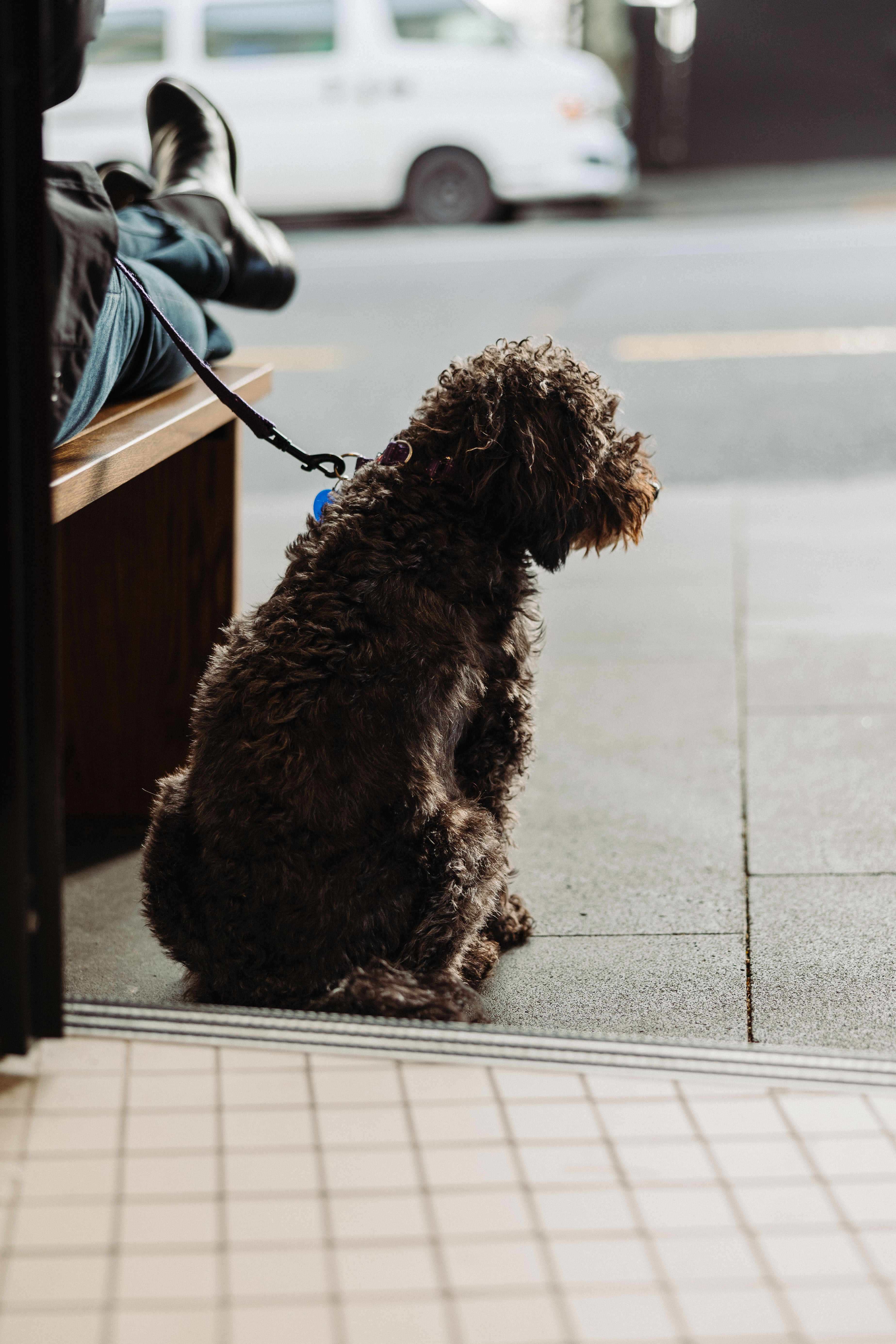 ADC_FitzroyDeli-23.jpg ADC_FitzroyDeli-23.jpg