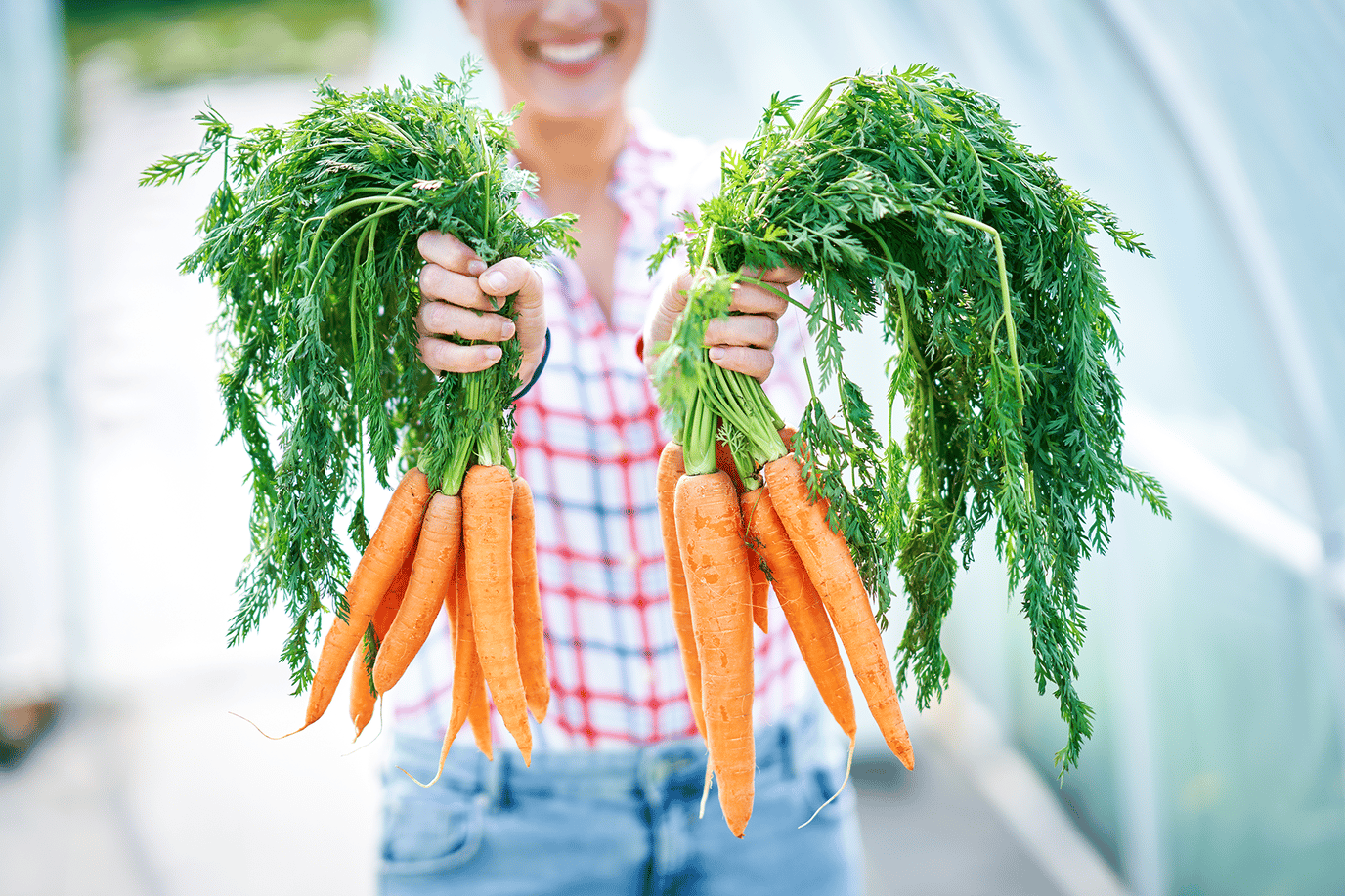 A dietitian’s guide to the Low FODMAP diet