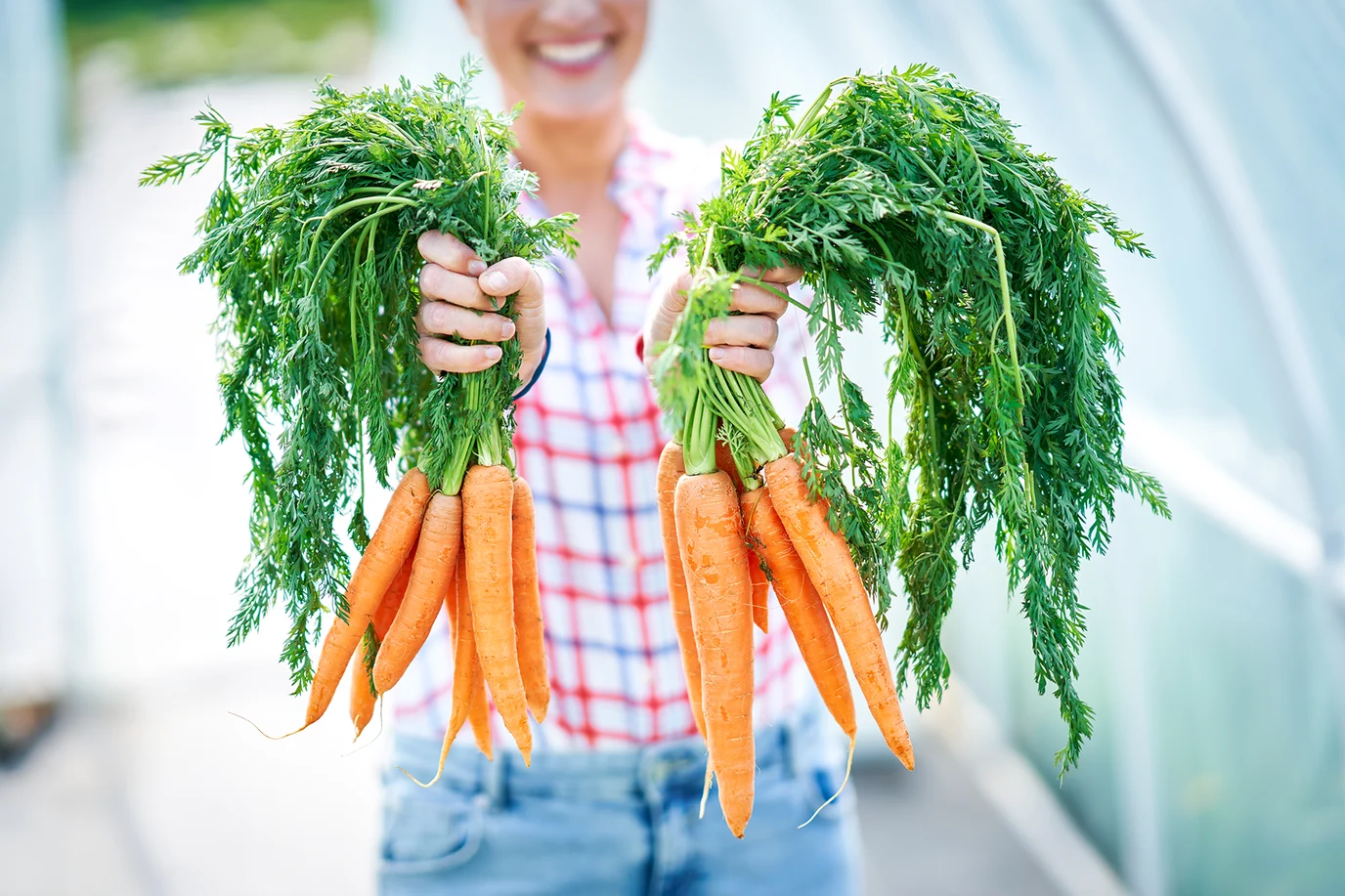 A dietitian’s guide to the Low FODMAP diet