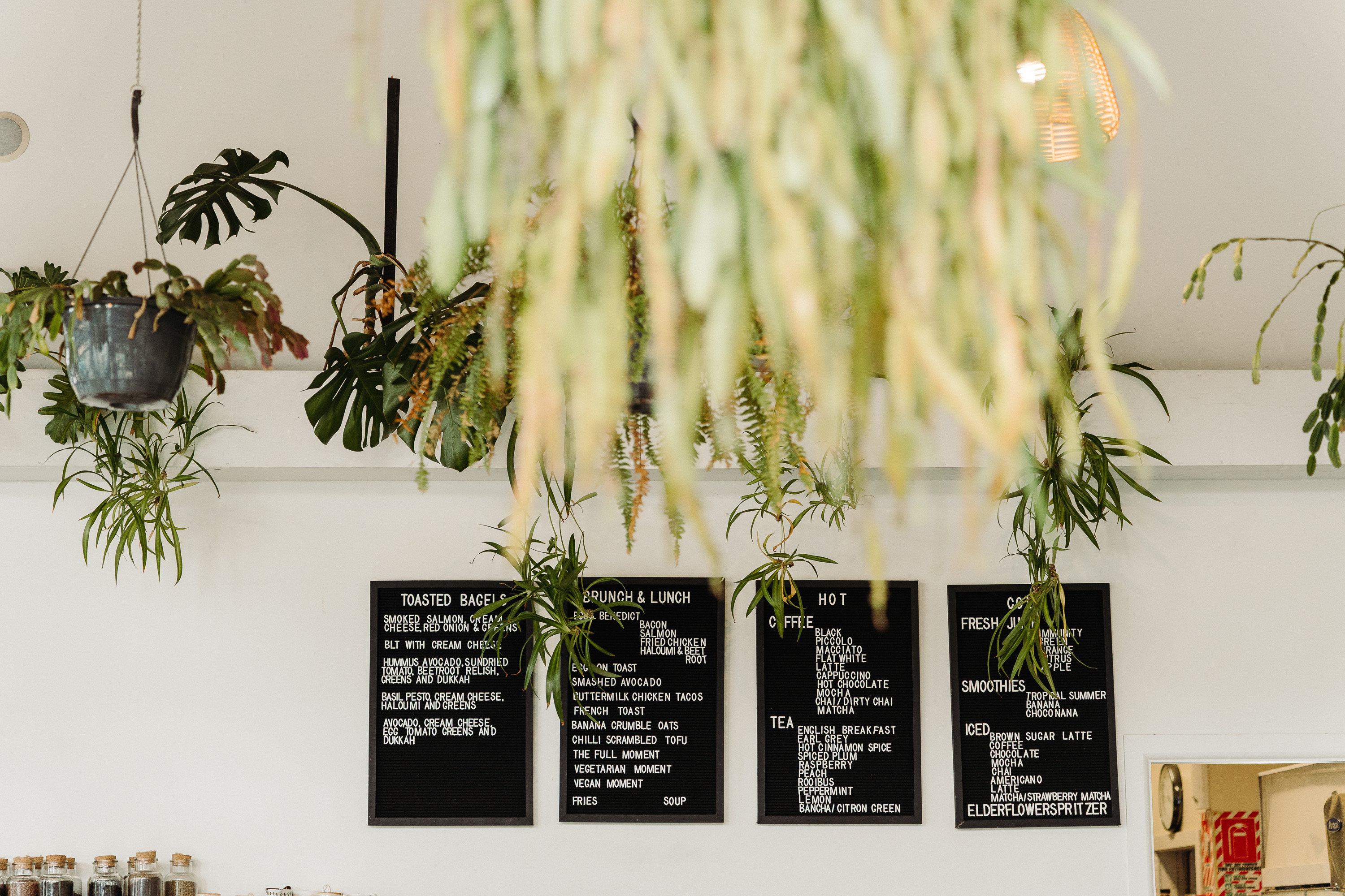 Indoor café scene with hanging potted plants and trailing greenery above a row of black menu boards on a white wall, lit with warm ambient lighting.