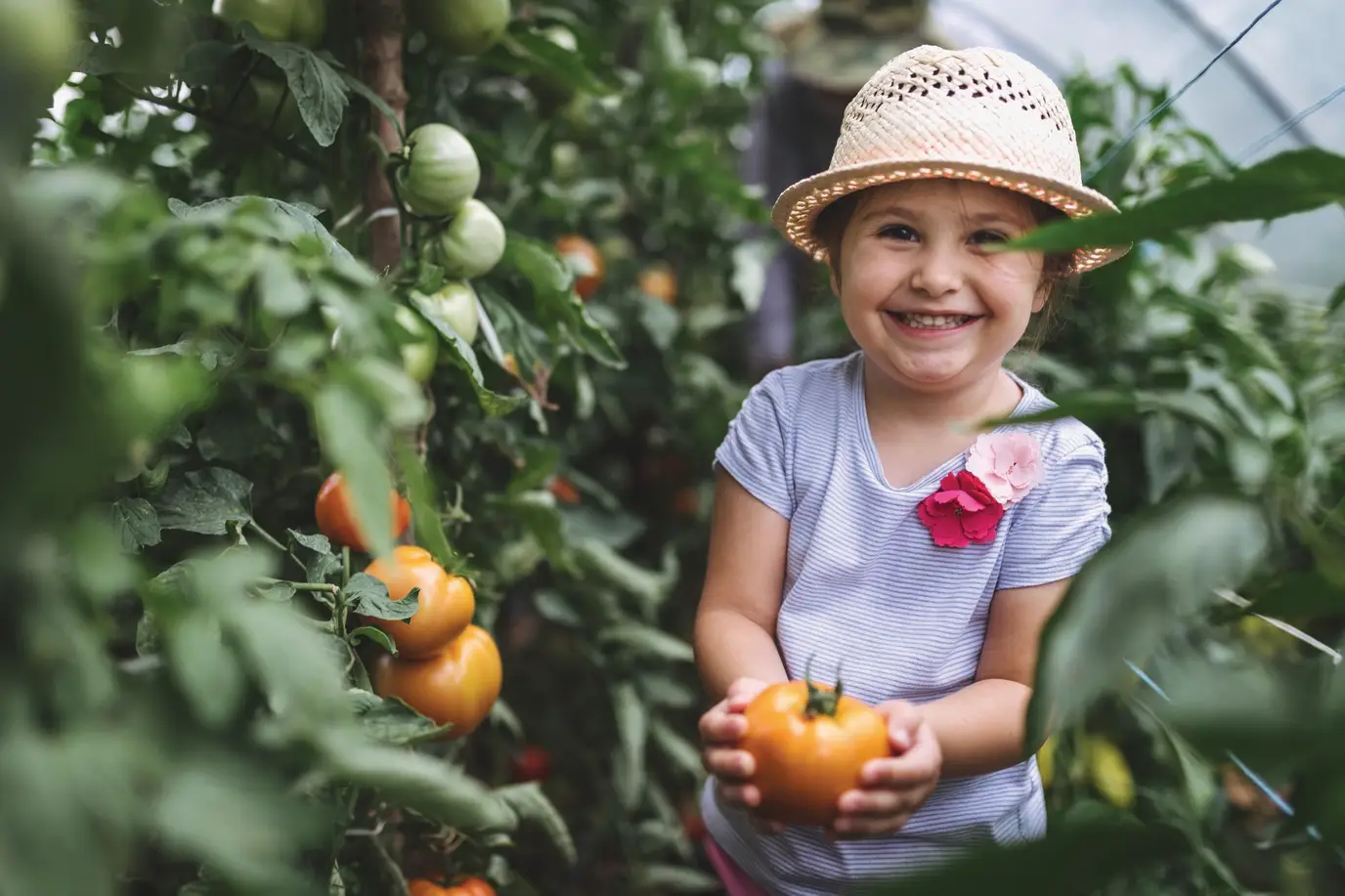 How home gardens support health and wellbeing