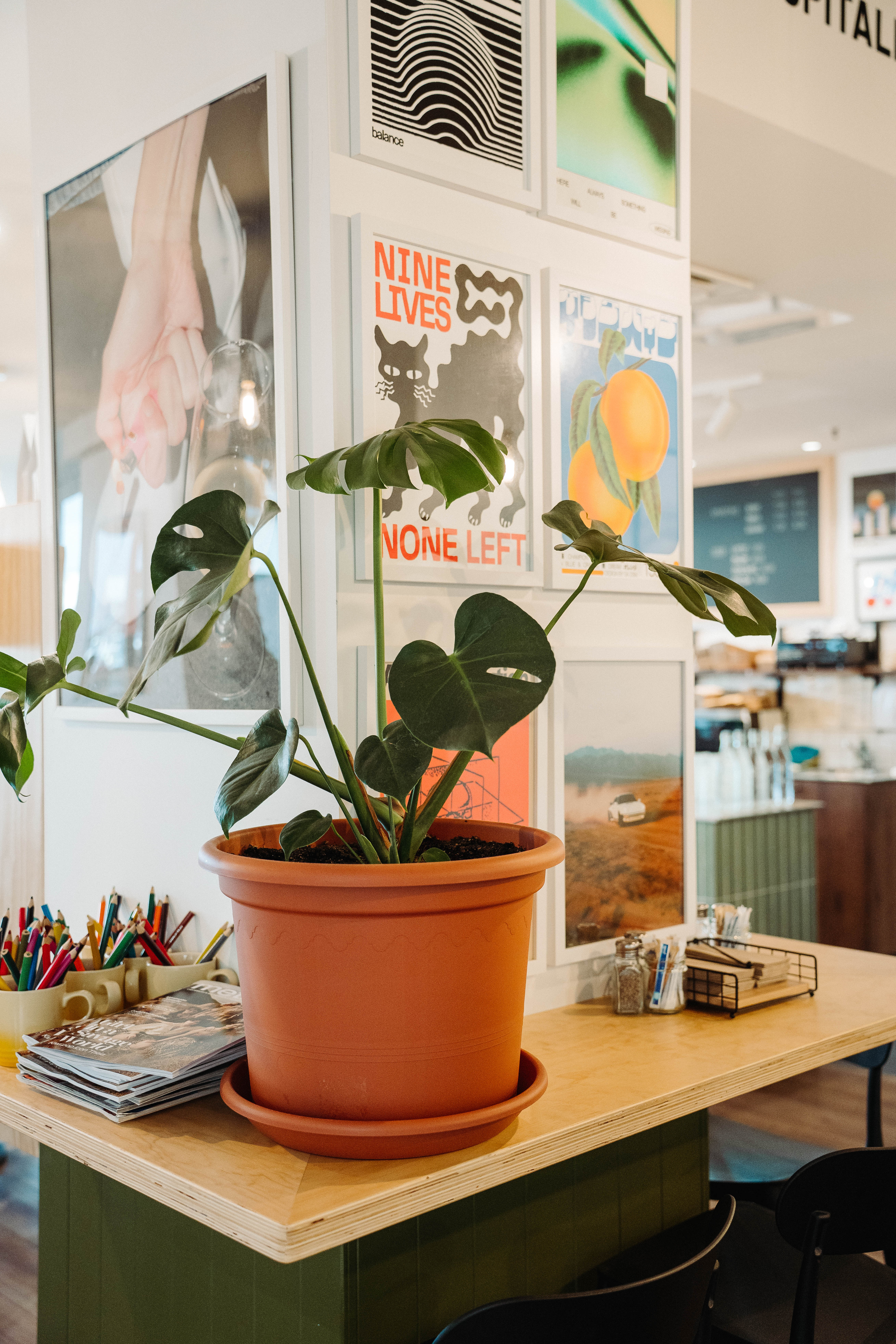 JPEG photo likely showing the exterior or interior of Authenticity Café in Christchurch, New Zealand, capturing the café setting and atmosphere.